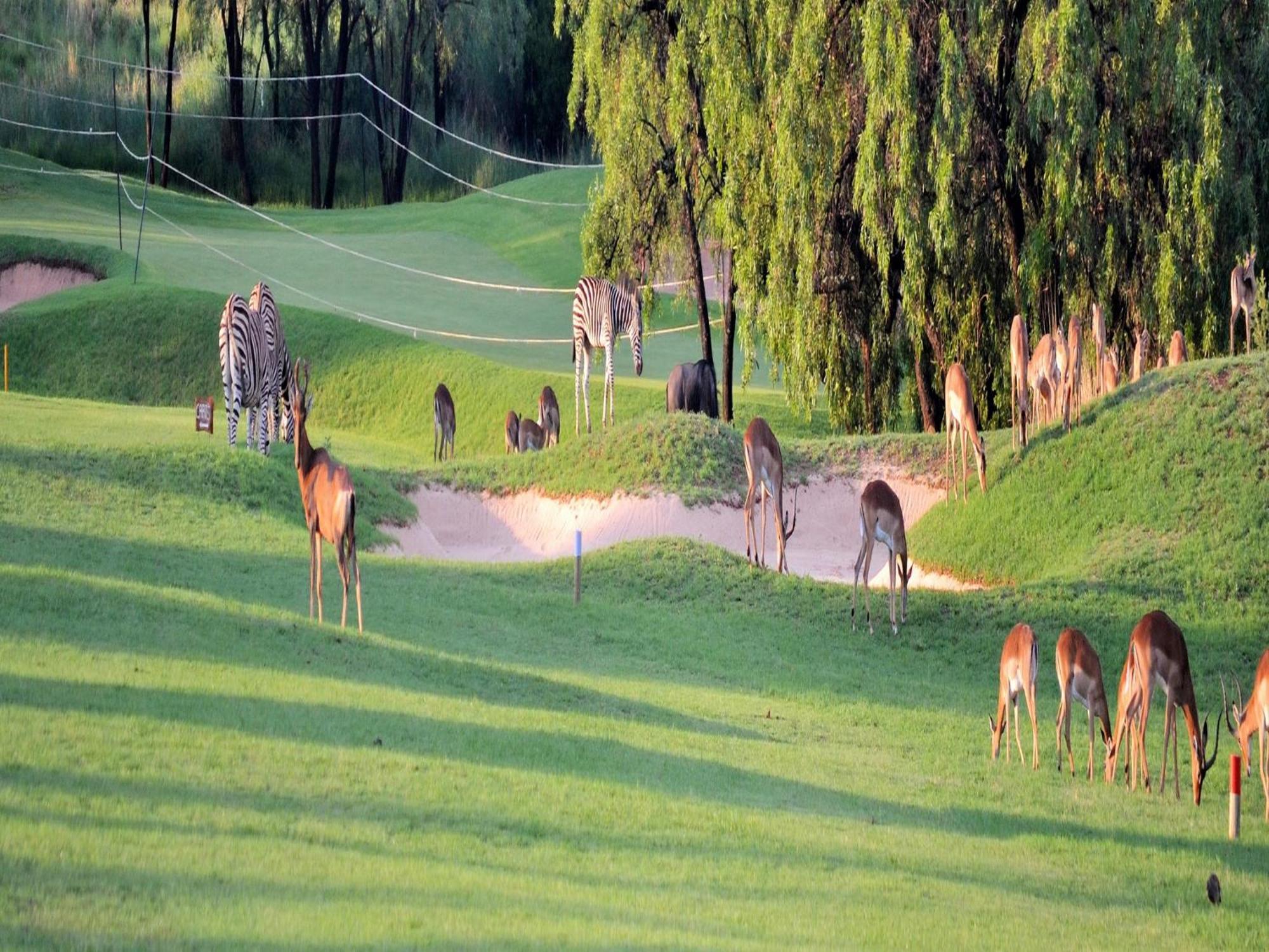 Elements Private Golf Reserve Villa Bela-Bela Exteriör bild